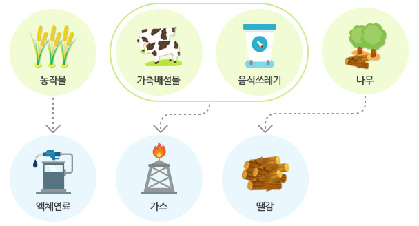 바이오 에너지 : 농작물 → 액체연료 / 가축배설물, 음식쓰레기 → 가스 / 나무 → 땔감