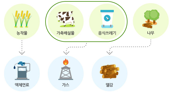 바이오 에너지 : 농작물 → 액체연료 / 가축배설물, 음식쓰레기 → 가스 / 나무 → 땔감
