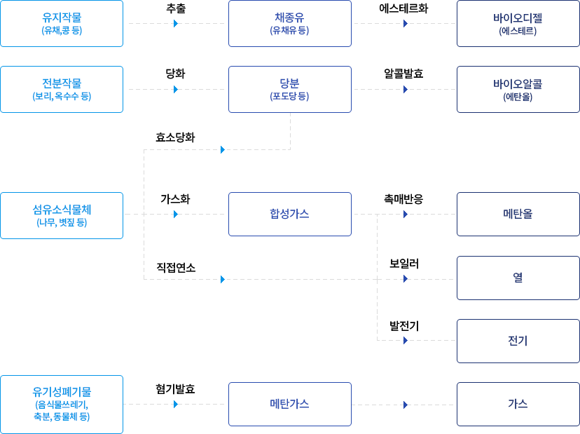 유지작물(유체, 콩 등) → (추출) → 채종유(유채유 등) → (에스테르화) → 바이오디젤(에스테르) / 전분작물(보리, 옥수수 등) → (당화) → 당분(포도당 등) → (알콜발효) → 바이오알콜(에탄올) / 섬유소식물체(나무, 볏짚 등) → (효소당화는 당분으로, 가스화, 직접연소) → 합성가스 → (촉매반응일 경우 메탄올, 보일러일 경우 열, 발전기일 경우 전기) → 메탄올, 열, 전기 / 유기성폐기물(음식쓰레기, 촉분, 동물체 등) → (혐기발효) → 메탄가스 → 가스