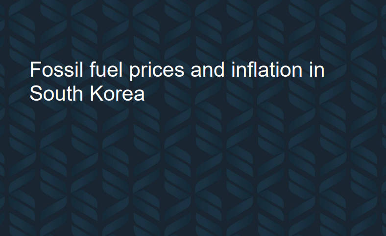 [케임브리지] 한국의 에너지 인플레이션 현황(Fossil fuel prices and inflation in South Korea) 썸네일
